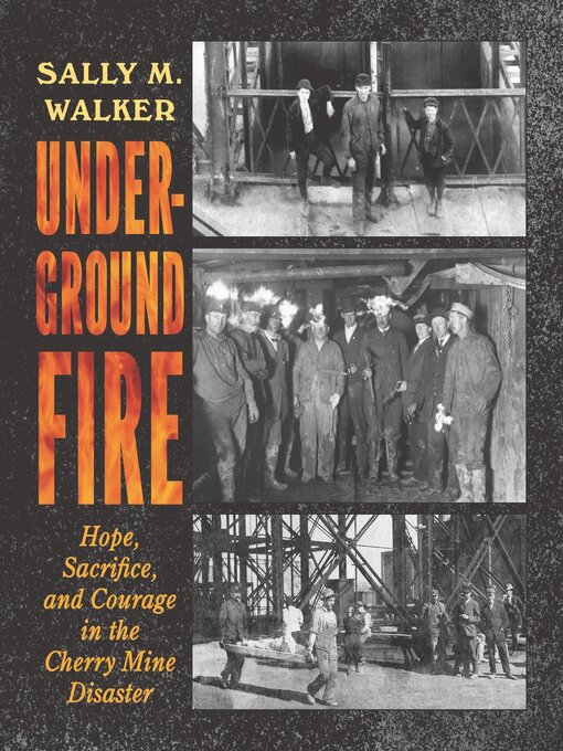 Title details for Underground Fire by Sally M. Walker - Available